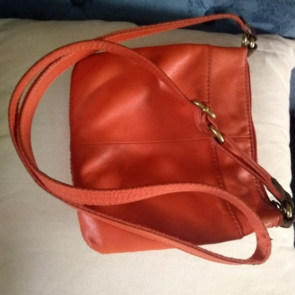 The flawed fossil purse - Picture 11 of 12